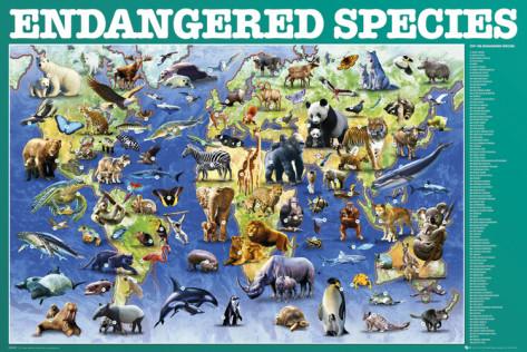 Endangered Animals and Species