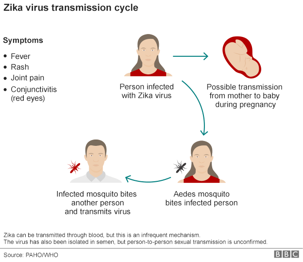 The Zika Virus Outbreak