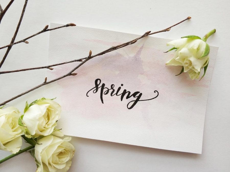 8+Facts+About+Spring