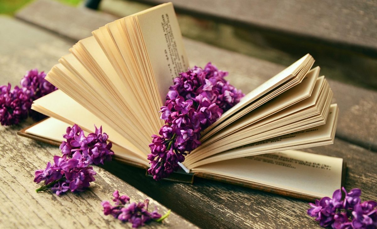 The Effects Of Literature On Developing Minds