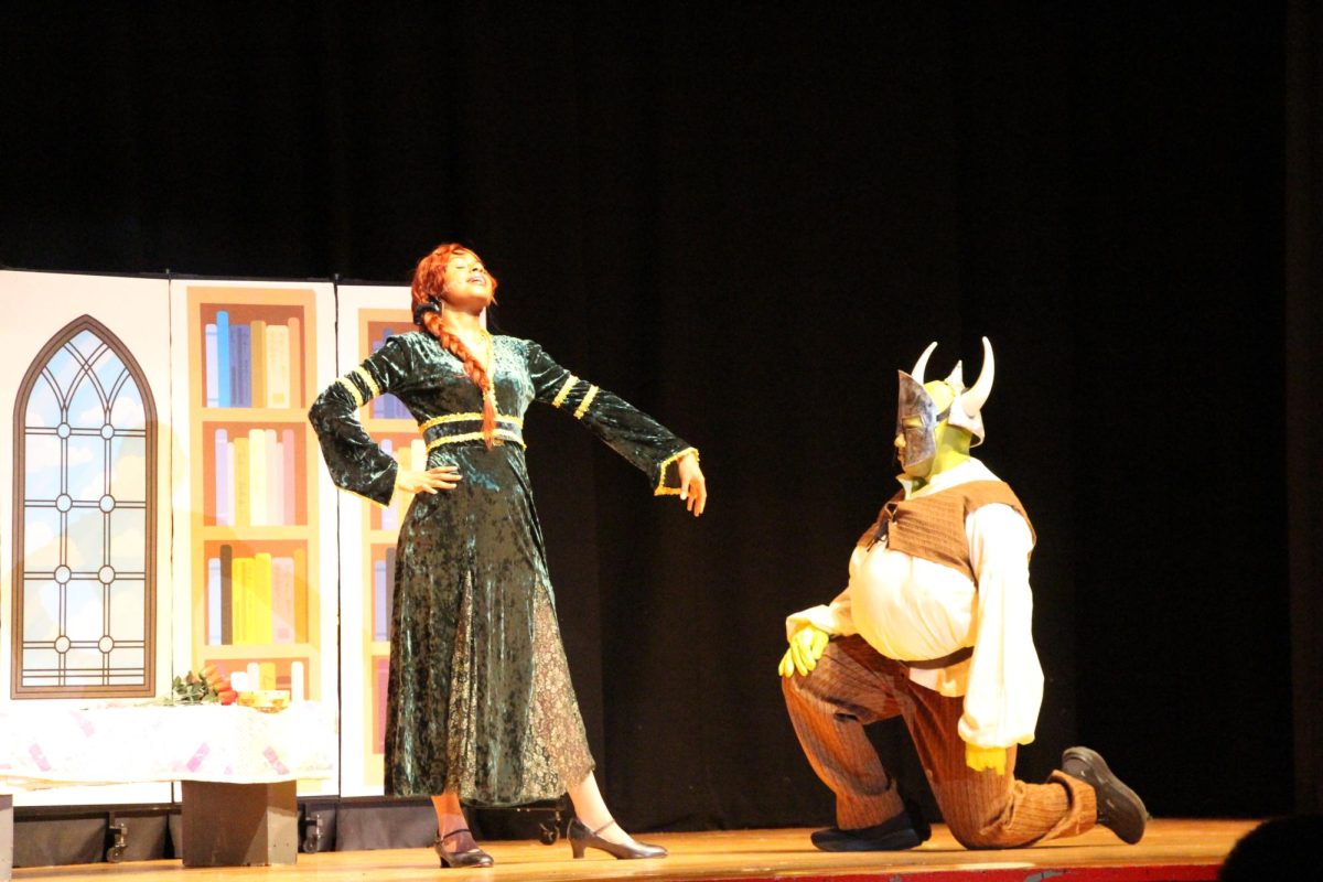 Shrek! Quite The Experience!